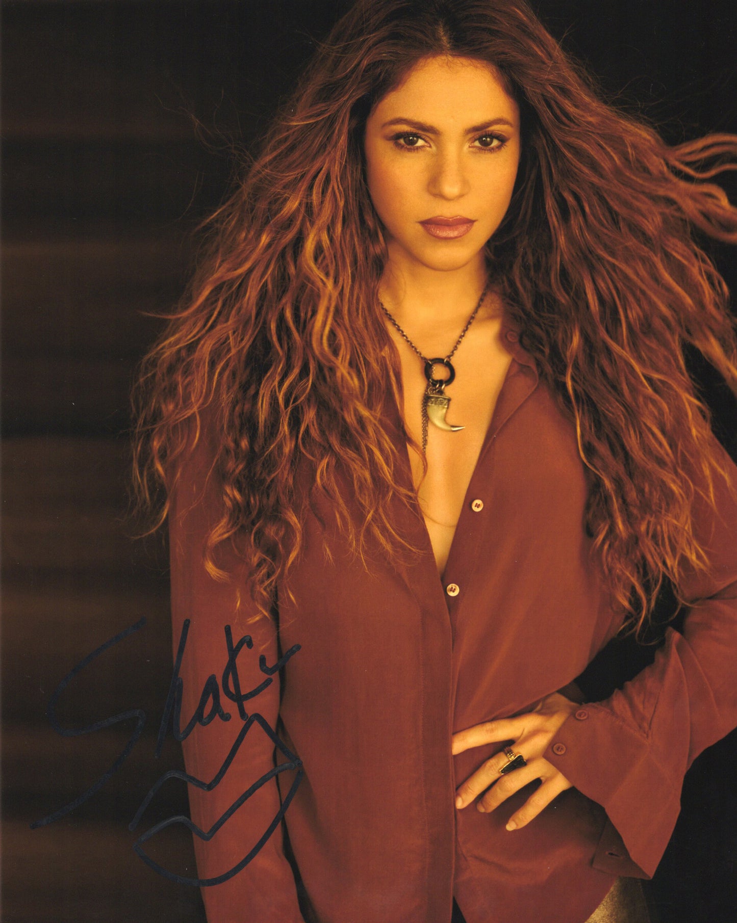 Shakira シャキーラ 直筆サイン入り写真認証COA付